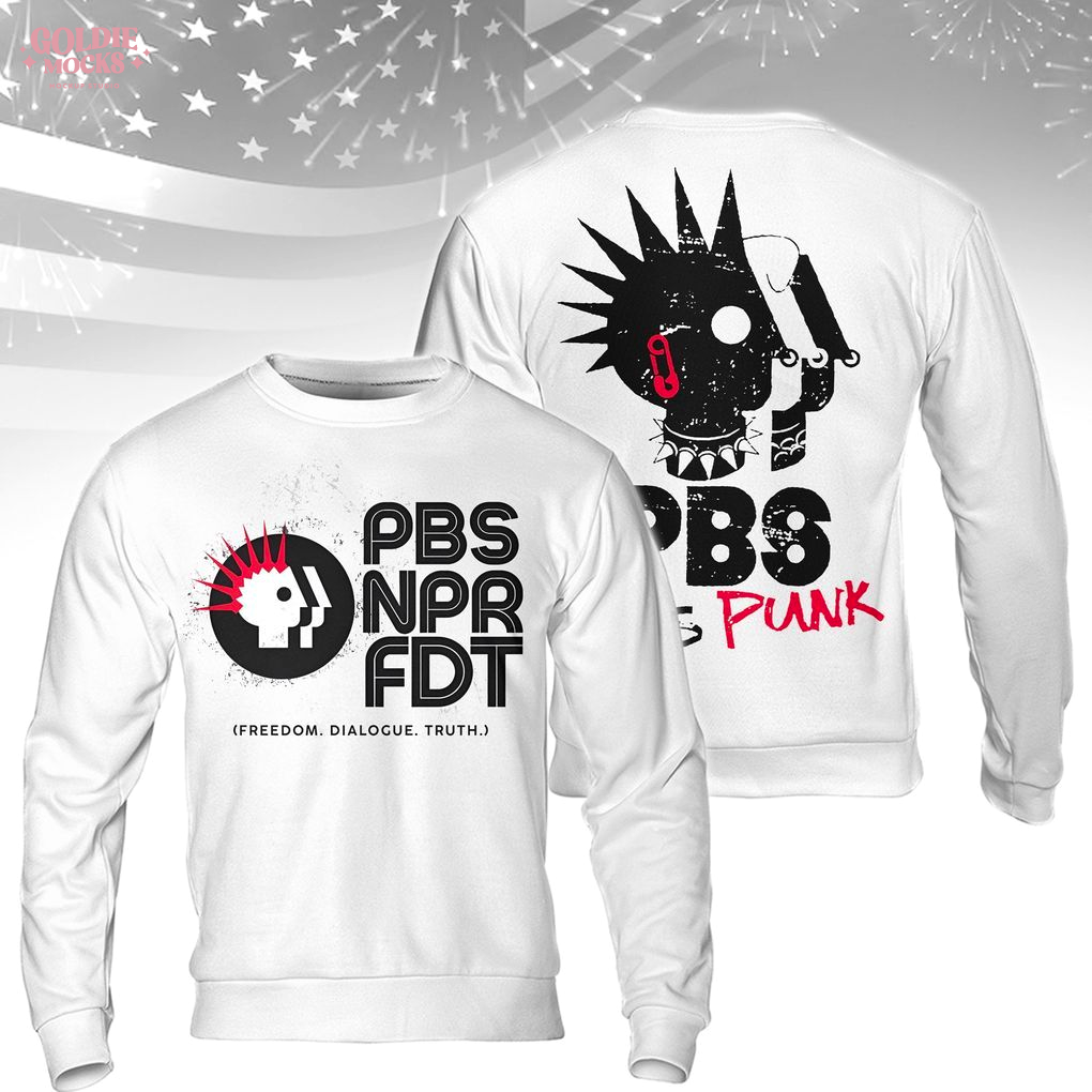 Public Radio Rebel T-Shirt – Punk PBS NPR FDT Graphic Tee for Free Speech Fans